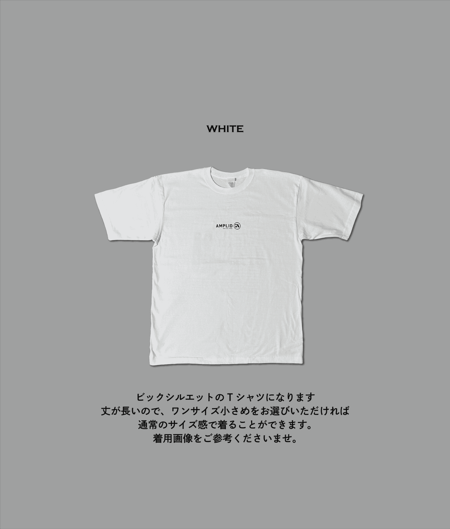 Amplid 　　　　　　「THE SINGULAR」　　　　Big T-Shirt