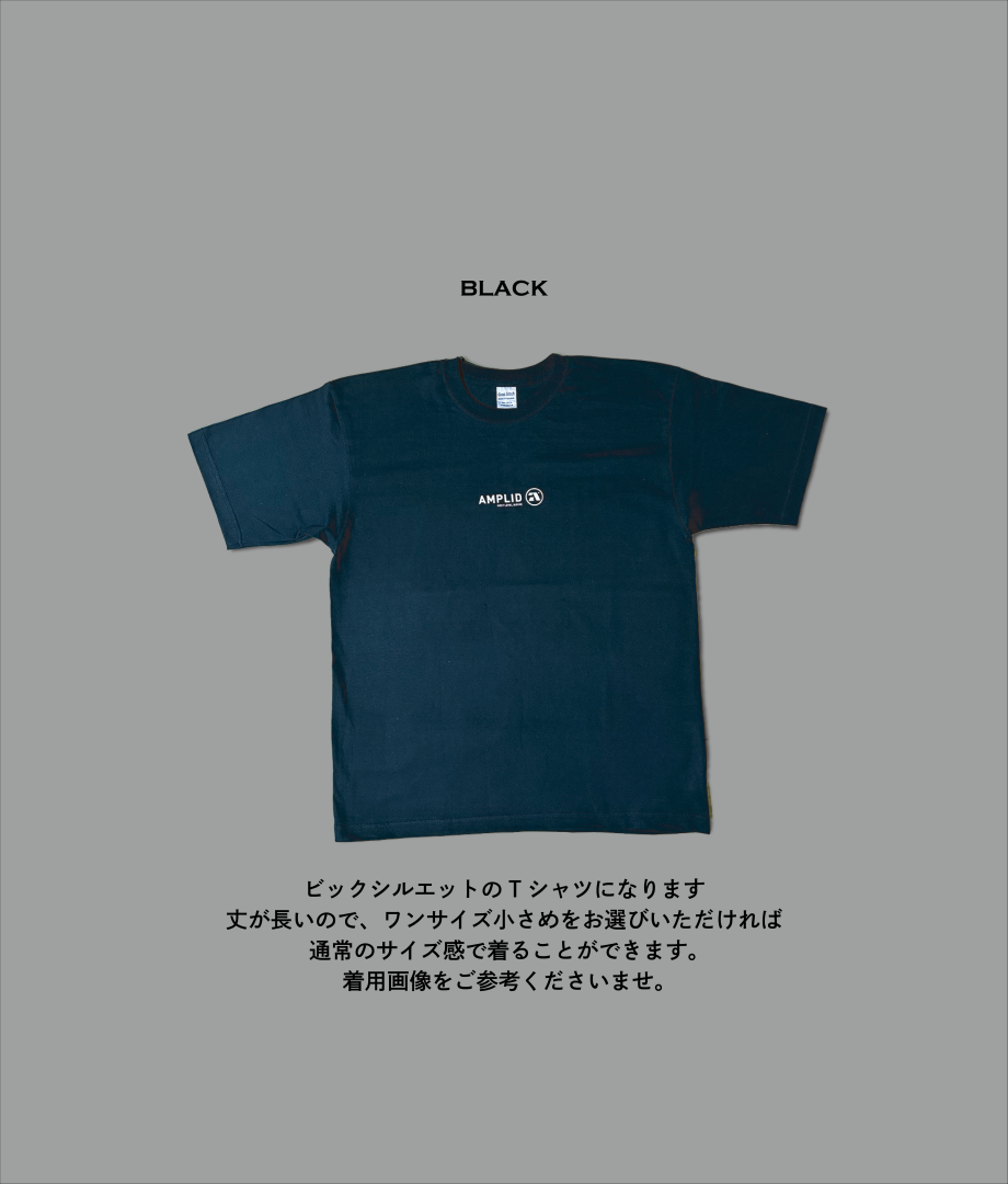 Amplid 　　　　　　「THE SINGULAR」　　　　Big T-Shirt